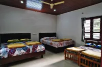 Darimane Homestay