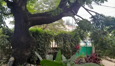 Casa de Ferias