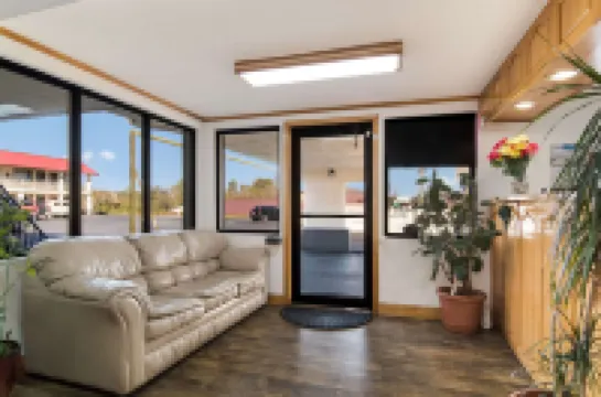 이코노 로지 칼훈 칼훈