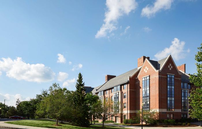 Graduate by Hilton Storrs