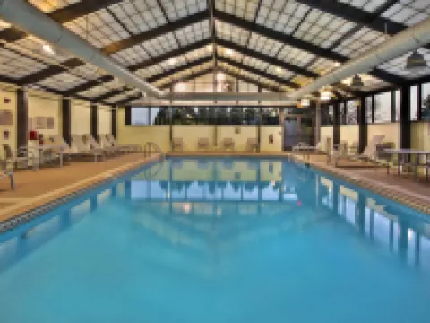 SpringHill Suites Chicago Elmhurst/Oakbrook Area Hotels in Elmhurst