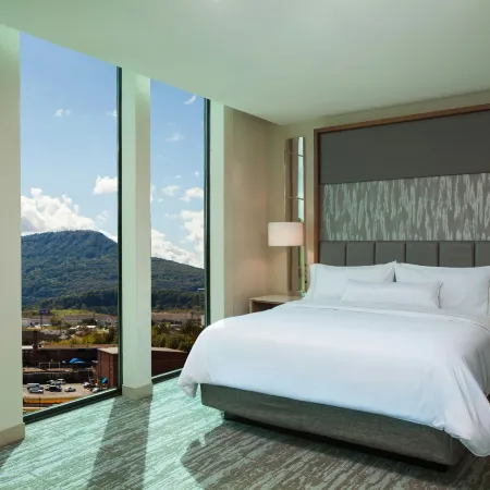 The Westin Chattanooga