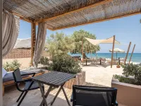 The Theodore Boutique Hotel- Adults Only 16 Plus - Airport Shuttle