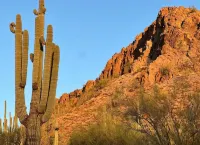Sonoran Ridge Retreat One Bedroom Home Sleeps Four, Sauna, Fire pit, Spa like