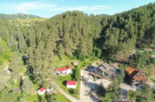 Lazy Dog Lodge, Hot Tub, AC & Activities Near Black Hills