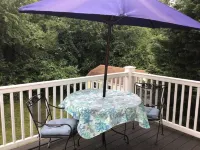 Cozy one bedroom-one bathroom /sleeps 4