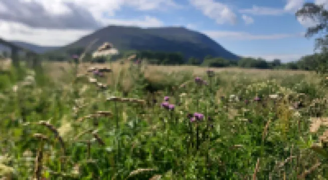 Traditional Lake District cottage in peaceful location
