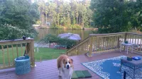 Historical Lakefront Cabin Just 8 Minutes to Oaklawn Track/Casino