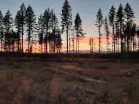 The Wanderbus in Elfendahl forest. Hotels in Mason County