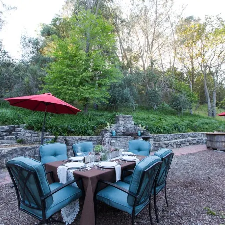 Charming Downtown Home with Wine Nearby. Pet Friendly!!