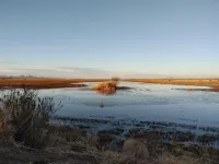 Desert Oasis "Cactus" Cabin