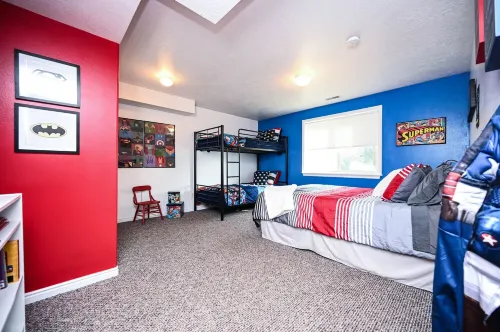 Entire Basement