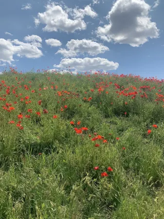 Ridge Condo at Elkhorn