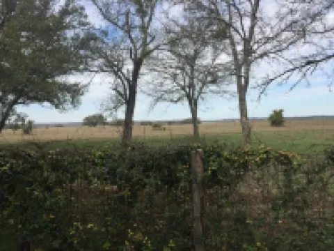 No Security Deposit on Hill Country Ranch Hideaway minutes from San Antonio