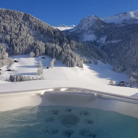 A Rare Nugget in the Mountains - Chalet with Authentic Charm - Spa - Unique Atmosphere