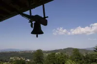 Happy holidays in Chianti, among olives and vineyards, From Florence