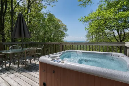 Asheville Luxury Chalet Hot Tub  Views 7 Acres Romantic