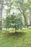 River Front Vacation Rental Property On The Clarion River in Clarington, Pa