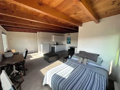 Mission Valley Studio, canyon view, with WiFi and AC, Close to Everything in SD Hotels near Tierra Santa Shopping Center
