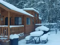 Forest Getaway