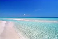 WINERY 1700 historic maison with private pool and big garden Hotels in Poggiardo