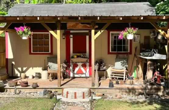 Cozy 200 ft tiny house with WiFi, AC, located in nature and close to so much.