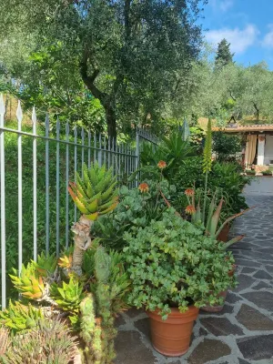 Apartment with View of the Tuscan Coast and Garden Hotels in Massarosa