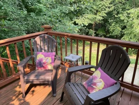 Luxury Suite on 7 Acres of Woods! Fireplace, Whirlpool!