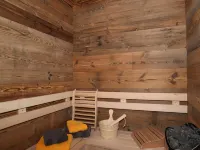 Apartment in Mittersill with Finnish Sauna