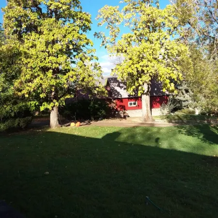 Catalpa Cottage is named after the giant Catalpa trees surrounding the cottage ~