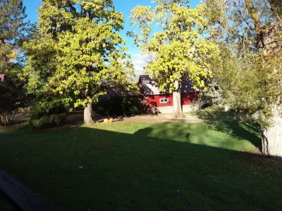 Catalpa Cottage is named after the giant Catalpa trees surrounding the cottage ~