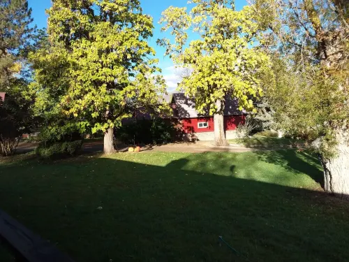 Catalpa Cottage is named after the giant Catalpa trees surrounding the cottage ~