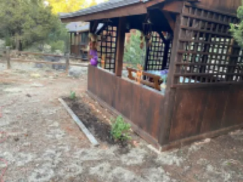 Quality Time at a LilyBear Cabin