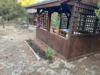 Quality Time at a LilyBear Cabin