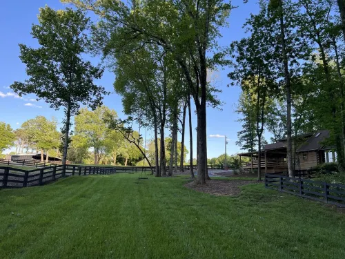 Escape to Our Serene Farm Cabin, Surrounded by Beautiful Rolling Pastures!<br>
