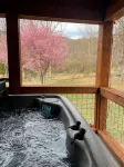 NEW Tranquil Retreat on 42 Acres with Hot Tub, Bordering National Park, WI-FI!