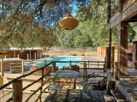 Unique Cabin
