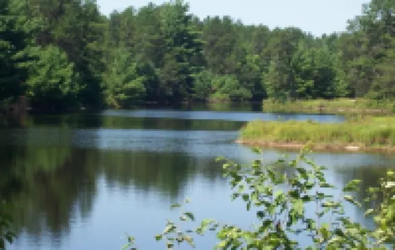 Pheasant Cottage- Cottages On Serenity Lake- has best view of Serenity Lake!