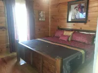 Real Log Cabin 2 Bedroom, 2 Full Bath, Full Kitchen Close To All Attractions.