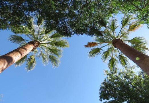 Dos Palmas 외부 전경 사진