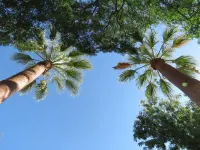 Dos Palmas, a retro travel home Hotels in Patagonia