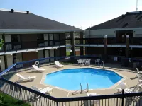 Walking Horse Lodge - WiFi