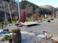 춘천 숲217펜션 대진 주변 호텔