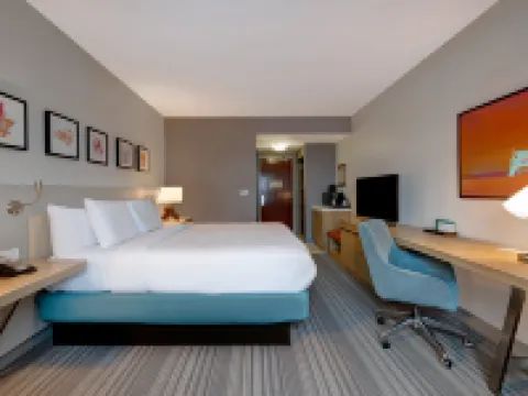 Hilton Garden Inn Tampa Northwest/Oldsmar Hotels in Oldsmar