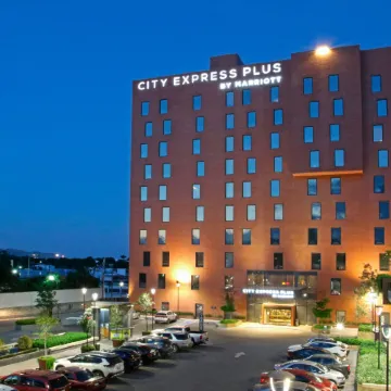 City Express Plus by Marriott Tampico