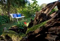 Rural Apartment Casa El Llombo, ideal to disconnect, surrounded by nature.
