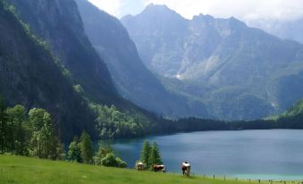 Alpenhotel Brennerbascht