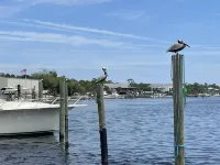 Reel Em Inn Hotels in Carrabelle