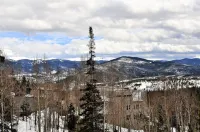 Forest Park 3 Bed 4 Bath Townhome Hotels in Silverthorne
