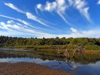 Burlington Bush Cottages by the Oyster Collection